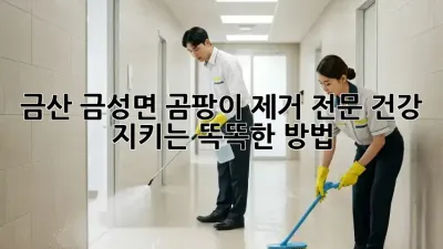 금산 금성면 곰팡이 제거 전문: 건강 지키는 똑똑한 방법